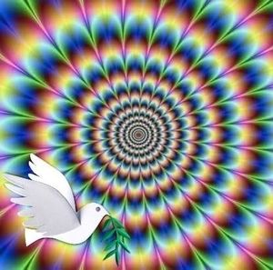 Meet your Posher, Manuel